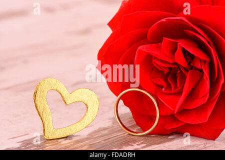 red rose in love for valentines day, birthday and mother`s day Stock Photo